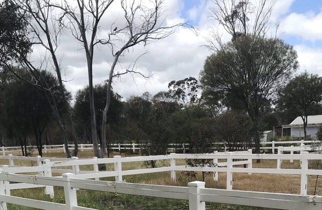Wilder Pastures