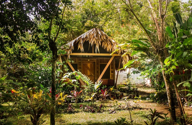 Wildlife Lodge Cahuita