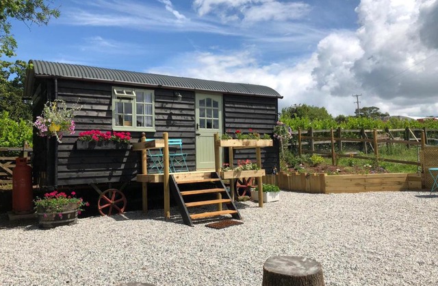 Willow Brook Shepherd Hut
