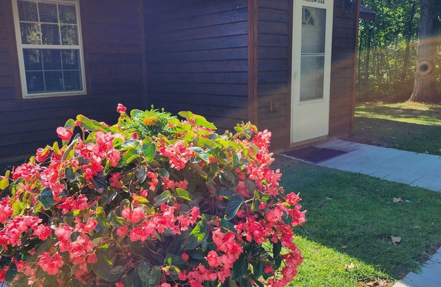 Willow Oak Cabin- Cabin on the Chippewa Flowage within a Resort
