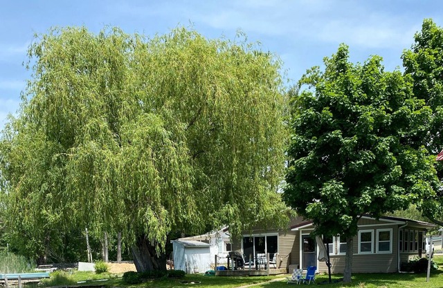 Willow Shores - Newly Updated Lake Front Cottage