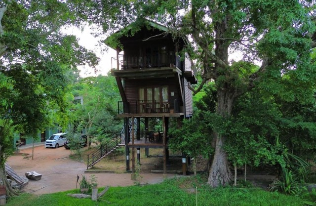 Wilpattu Tree House