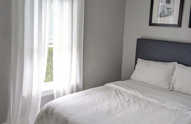 Windsor's Walkerville Winter Escape - Downtown Windsor