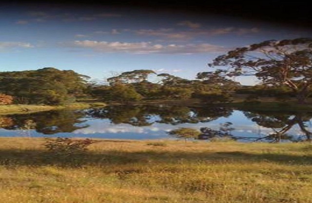 Alas Barossa Bird & Bush Retreat