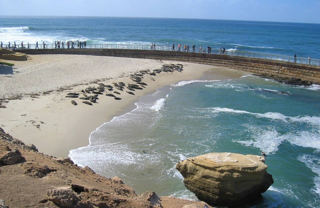 Winners Circle Resort