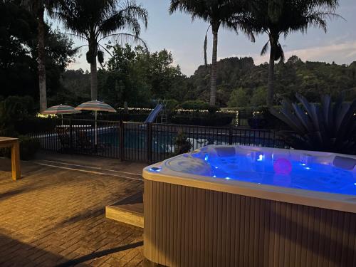 Winter Fun - Spa, Pinball, Billiard and more