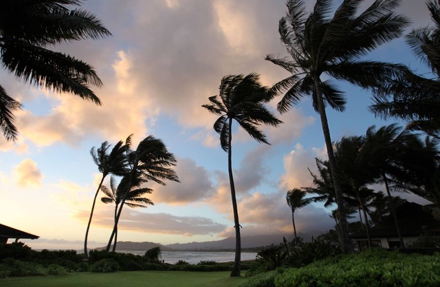 INVIERNO CASA BLANCA; ESTADO DE PLANTACIÓN; FRENTE AL MAR EN LA PLAYA DE KAILUA, OAHU