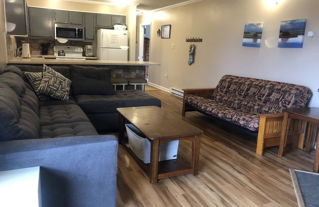 Hermoso condominio de esquí en Winterplace, cerca de Beckley, WV (para 11 personas) - E306