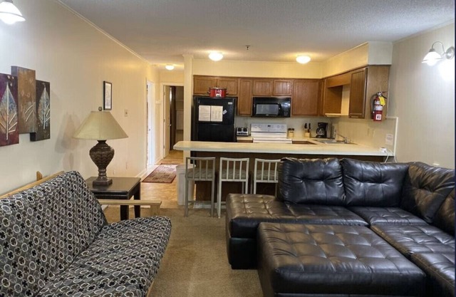 Winterplace Ski in Ski out condo First Floor D105