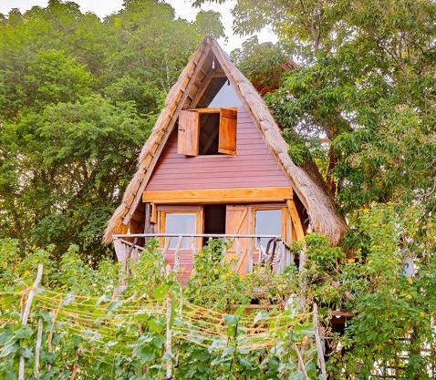 Wisdom Camping and Glamping