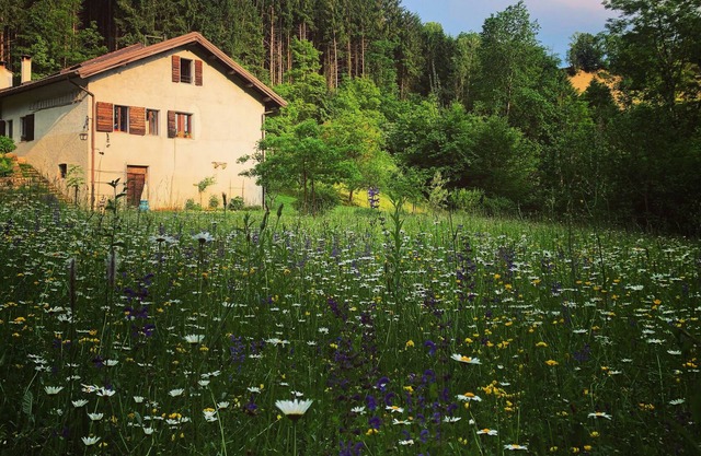 En la naturaleza a la entrada del Parque Nacional Dolomiti Bellunesi.