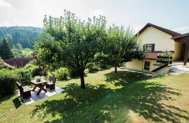 Apartamento en Waldnähe en Plankenstein