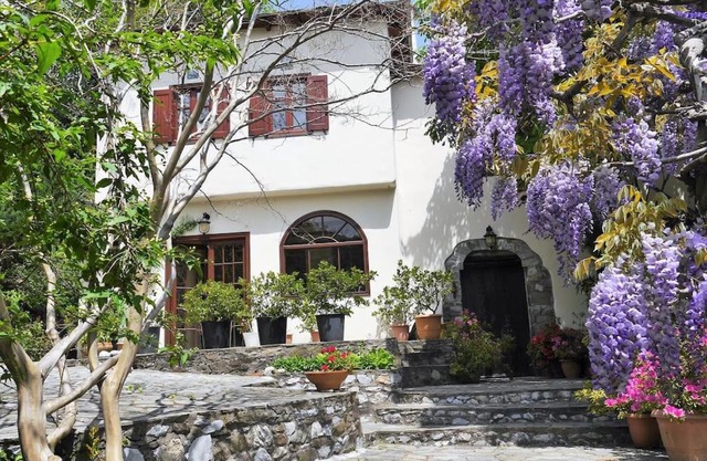 Wonderful 4 Bedroom Villa & separate guest house Villa Thalia