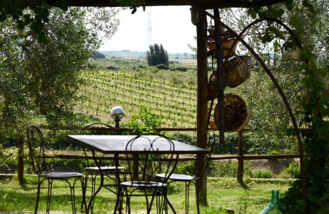 Wonderful accommodation near Saturnia on the border of Tuscany and Lazio