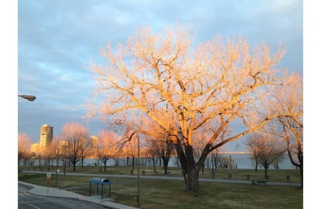 Wonderful! facing the river and park! wow!