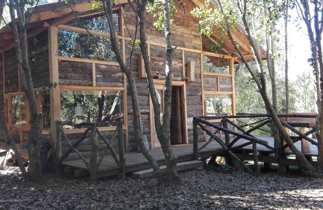 Cabaña rústica maravillosa,con árboles nativos, con Río Trancura, equipada