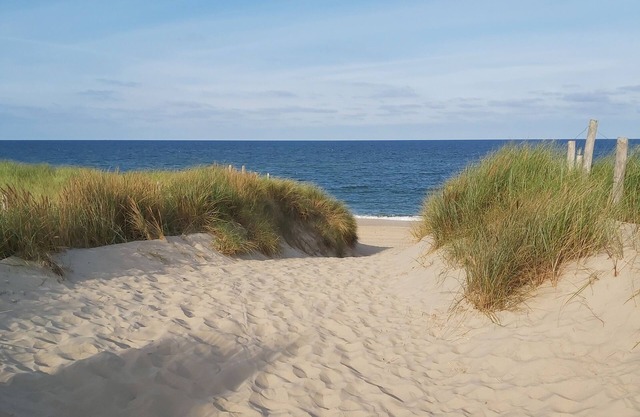Cozy apartment near the sea, beach and dunes. Have a nice holiday!