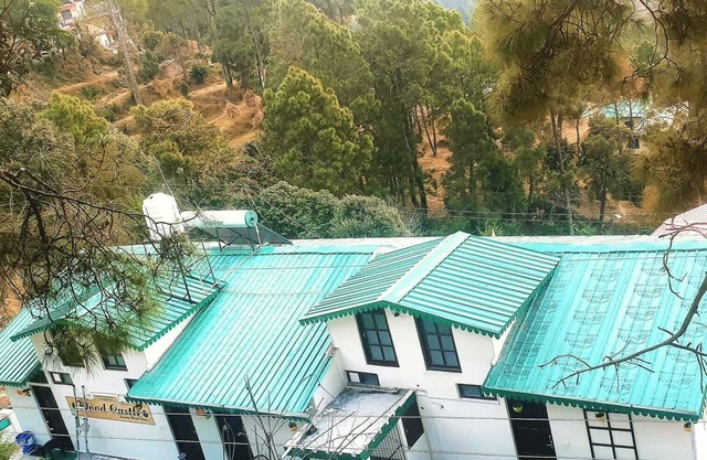 Wood Castle Luxury Home Stay