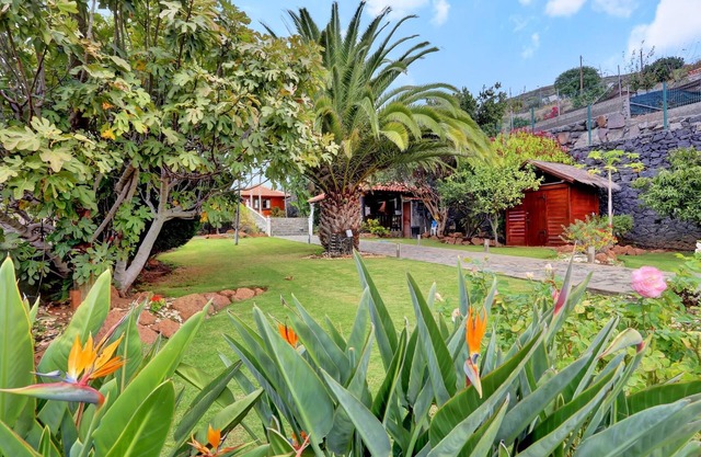 Cabaña con piscina privada y jardin exótico