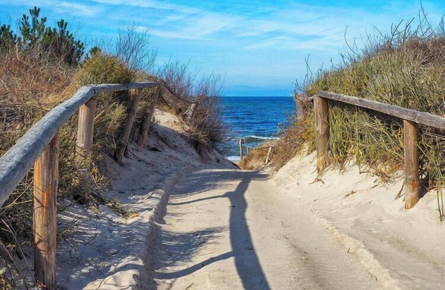 Wooden summer houses, Bobolin