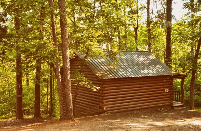 Woodland Cabin on Broken Bow Lake