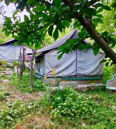 woodland camping tent jibhi