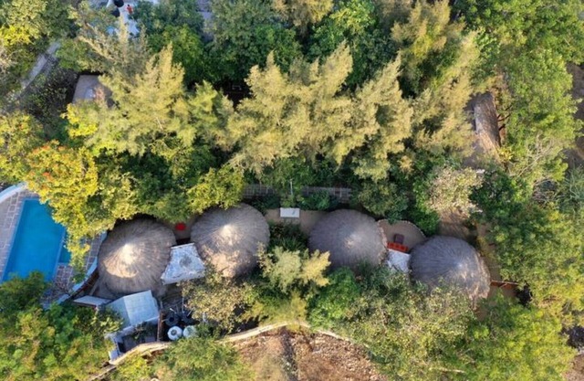 Woodland cottage @ Vyomanh Udaipur