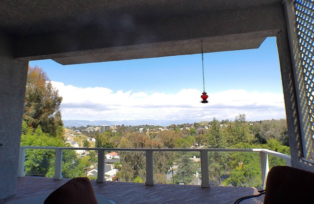 Woodland Hills Tranquil Retreat with Amazing Panoramic CITY VIEWS