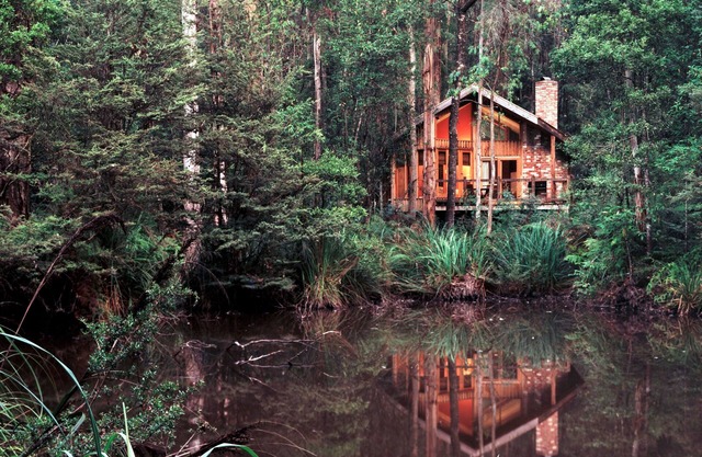 Woodlands Rainforest Retreat