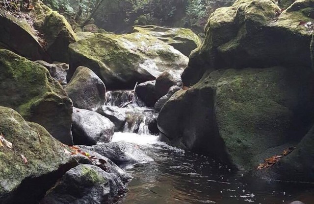Apartamento Privado en la montaña