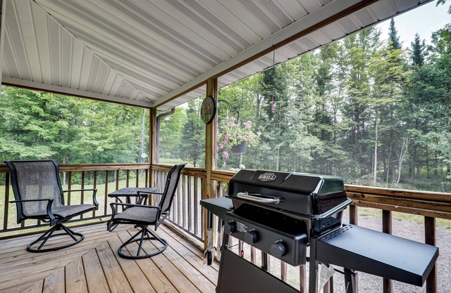 Woodsy & Charming! Tiny Haven w/Yard in Pelkie
