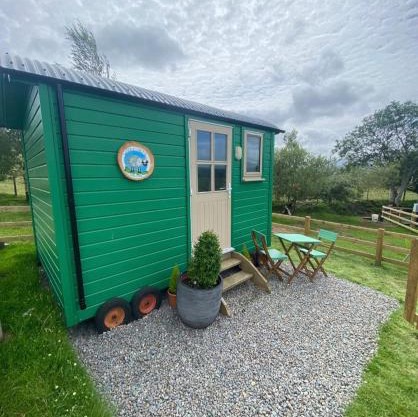 Wooly Huts Green