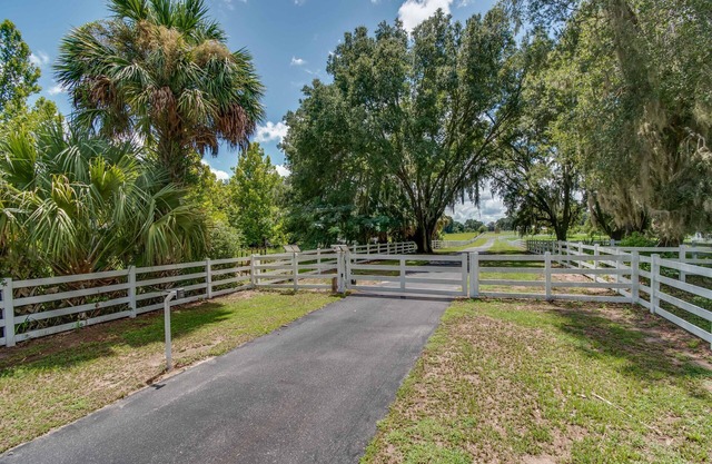 WORKING HORSE FARM 20 MIN TO wec,5 MIN TO OCALA JOCKEY CLUB,20 MIN TO GAINSVILLE