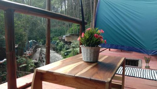 wulandari reverside camping ground pinus singkur