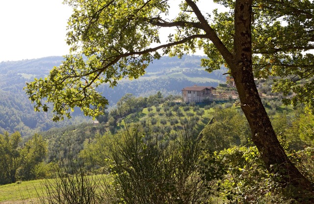VILLA DE PIEDRA EN LA CIMA DE UNA COLINA DE OLIVAS CON PISCINA