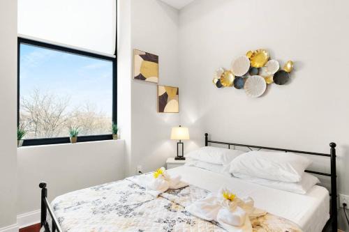 Xl Studio - Premier Studio W Gym Access