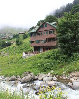 Yıldız dağevi