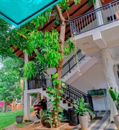 Yala Queens Resort