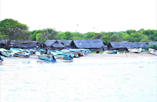 Yala Wilderness Safari Camp
