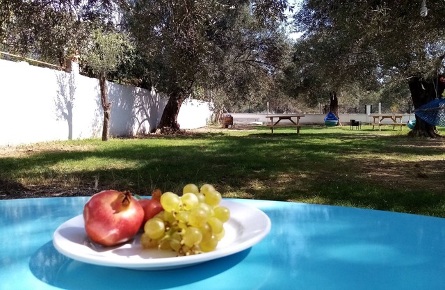 Yazduf Family Homes