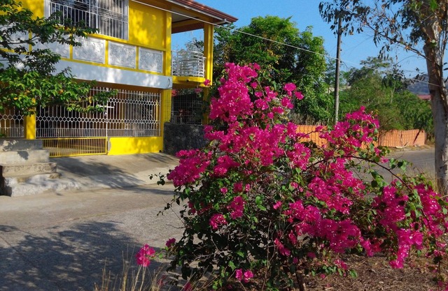 Yellow HOUSE Vacation Rental
