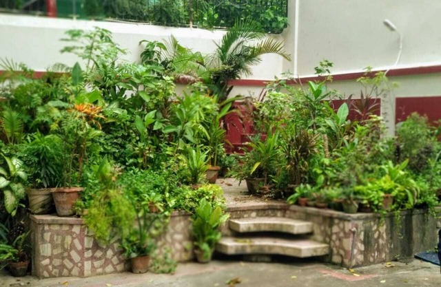 Yellowbrick-Calcutta's Freshest BnB
