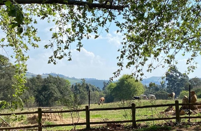 Yellowwoods Farm - WILLOUGHBYS COTTAGE and OLD STABLES COTTAGE