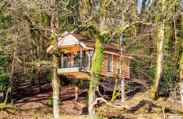 Yeworthy Eco-Friendly, casa de árbol fuera de la red