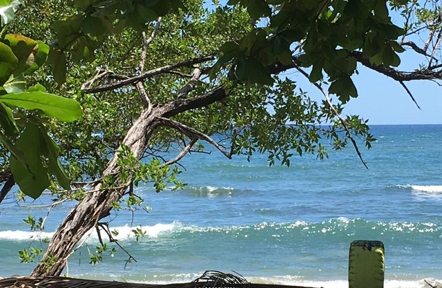 ¿te imaginas Costa Rica? Nuestra ubicación está en la playa es lo que te imaginas:)