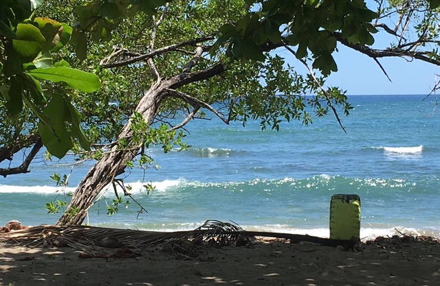 You Imagine Costa Rica Our Location Being on the Beach is What You Imagine