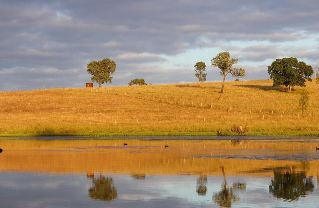 Your Brisbane Valley adventure starts here