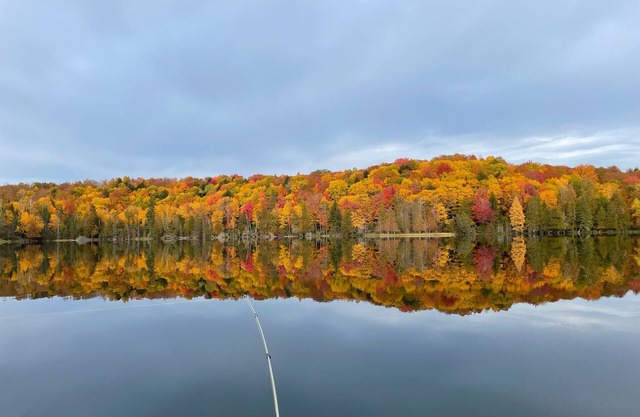 Your own private lake with lodge! Sleeps 24 people. Lots of parking.