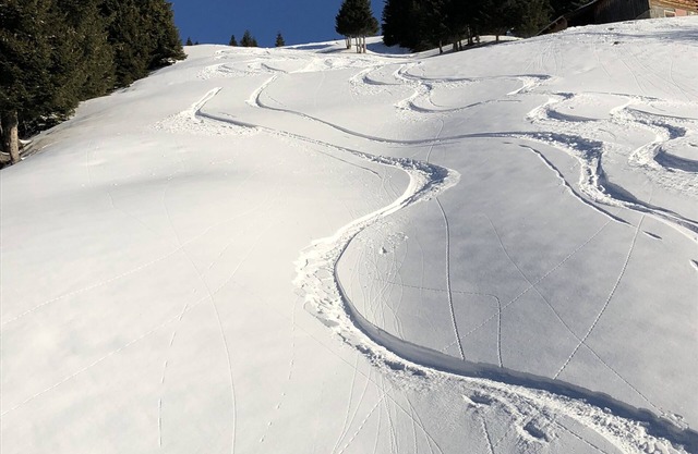 Your holiday apartment in Damüls Faschina | SKI IN / SKI OUT