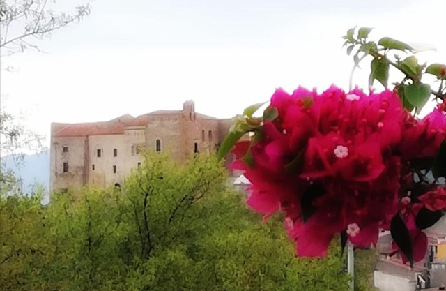 Ypsibloom